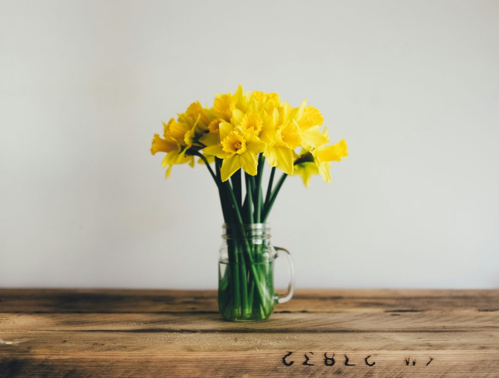 A bouquet of bright yellow daffodils in a glass jar on a wooden table against a soft neutral background, representing the arrival of spring and the seasonal shifts that influence consumer spending habits.