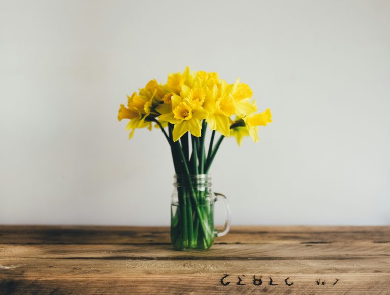 A bouquet of bright yellow daffodils in a glass jar on a wooden table against a soft neutral background, representing the arrival of spring and the seasonal shifts that influence consumer spending habits.