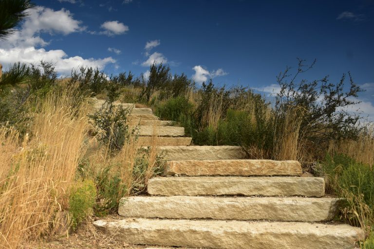 What are the 7 steps of a marketing plan?