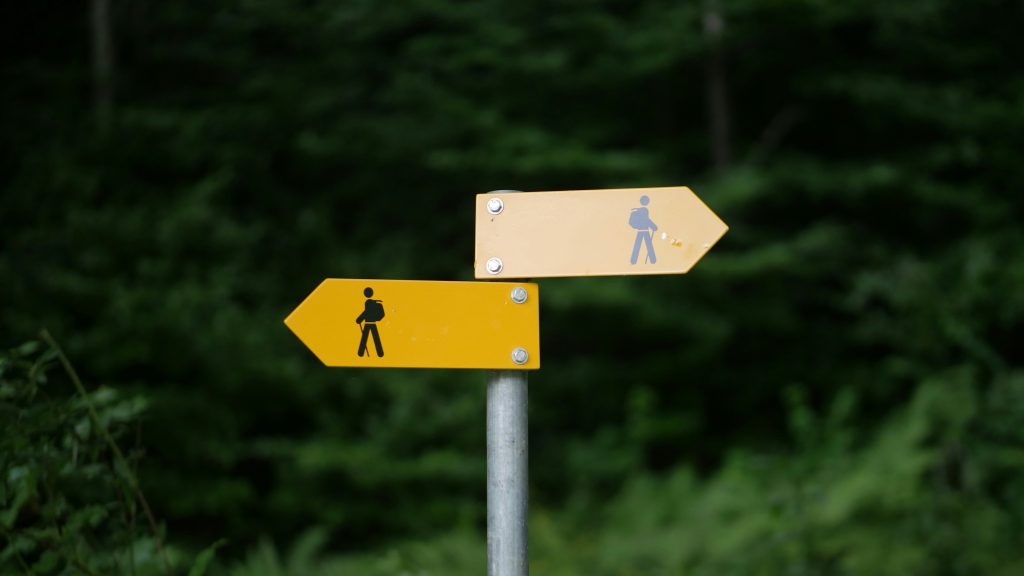 What's the difference between consumer insight and market research?
